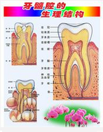 QQ图片20150721135644.png