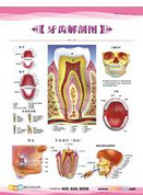 QQ图片20150721135707.png