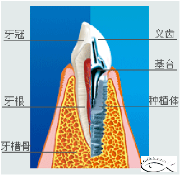 QQ图片20150721135857.png