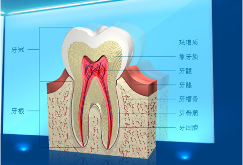 QQ图片20150721135947.png