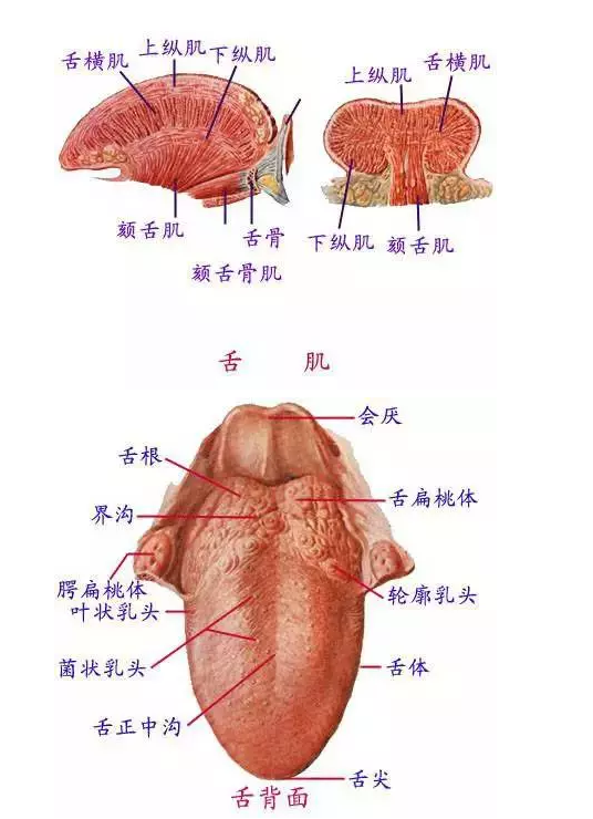 QQ图片20150731101943.png