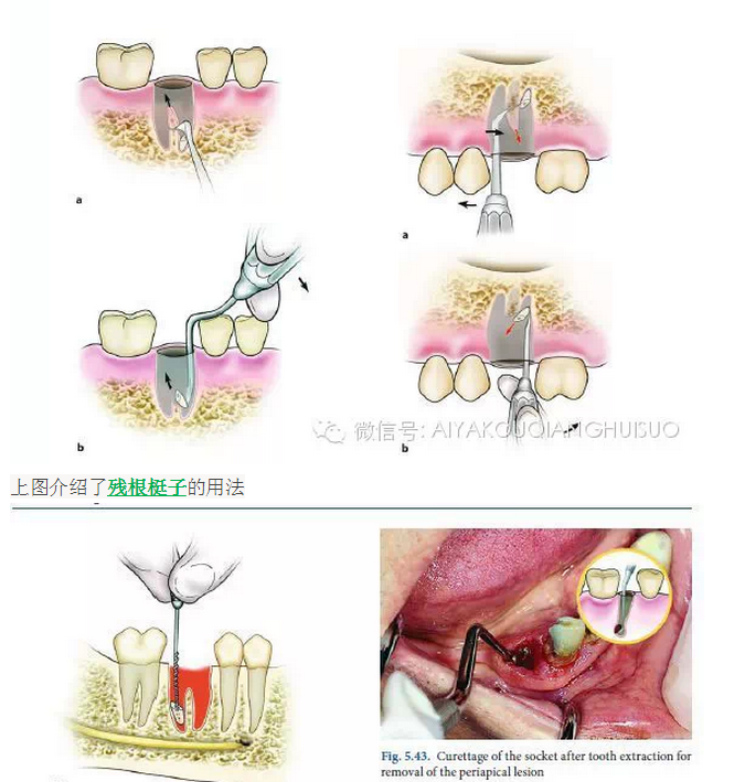 QQ图片20150807105031.png