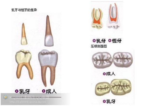 QQ图片20150808110526.png