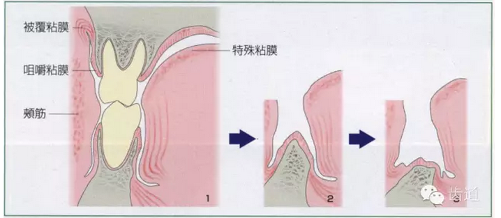 QQ图片20150808151228.png