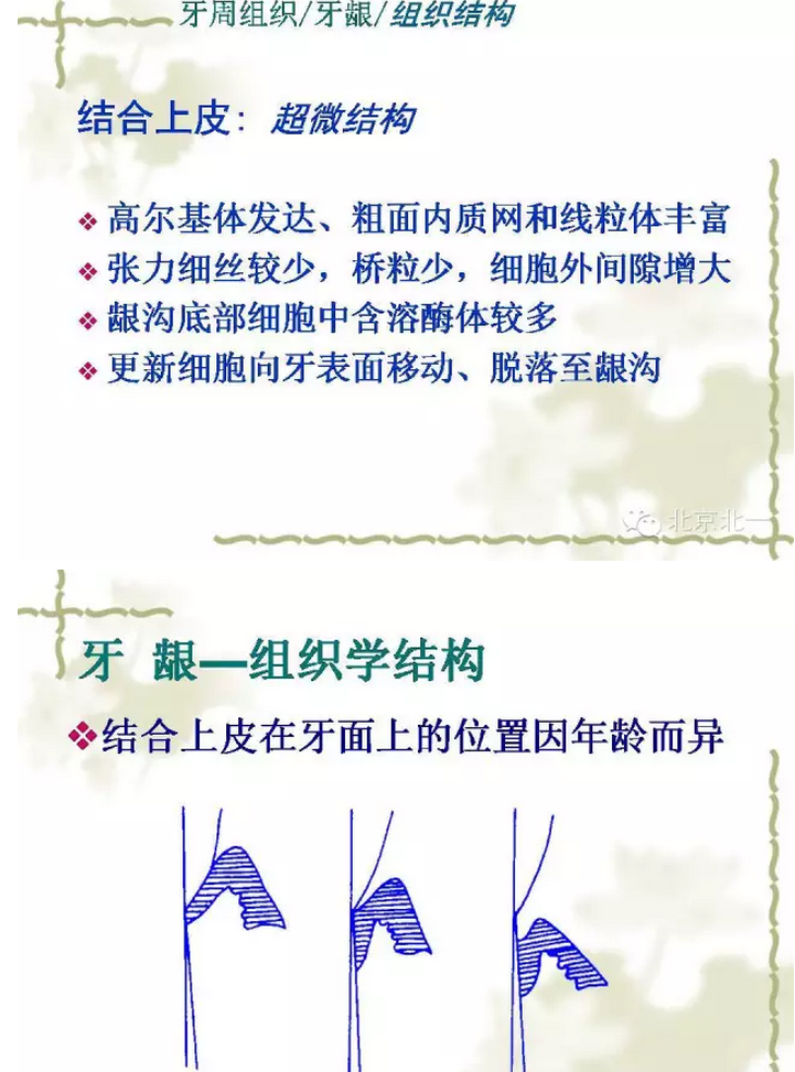 QQ图片20150814101250.png