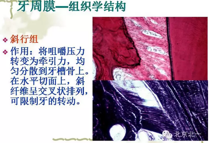 QQ图片20150814101945.png