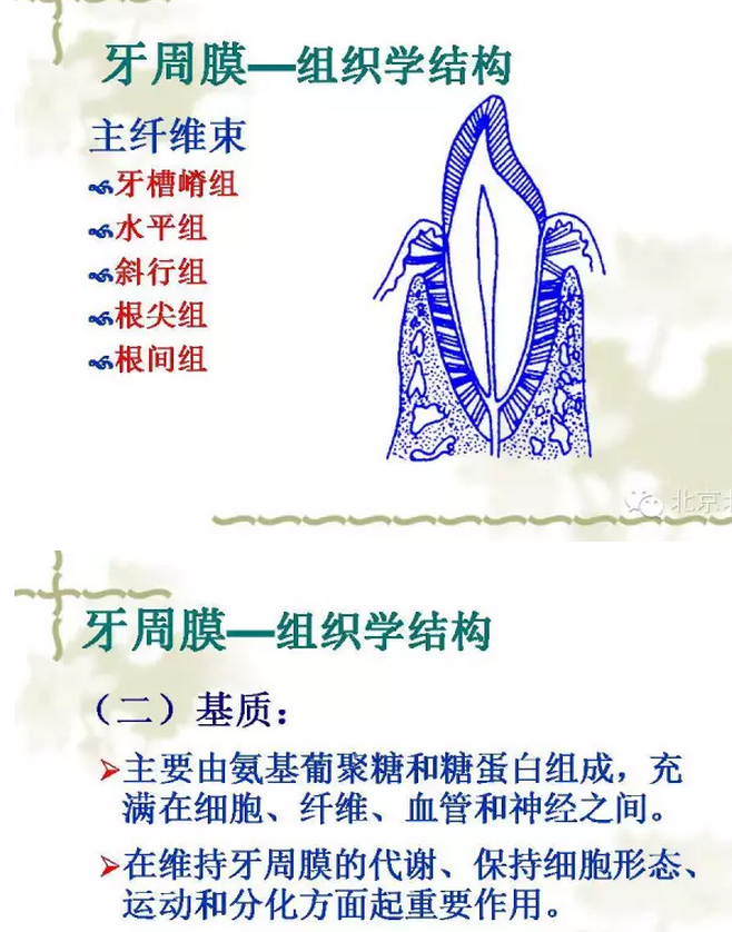 QQ图片20150814102031.png