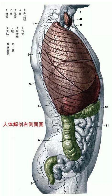 QQ图片20150815165953.png