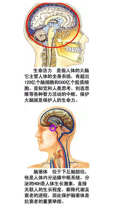 QQ图片20150815170107.png