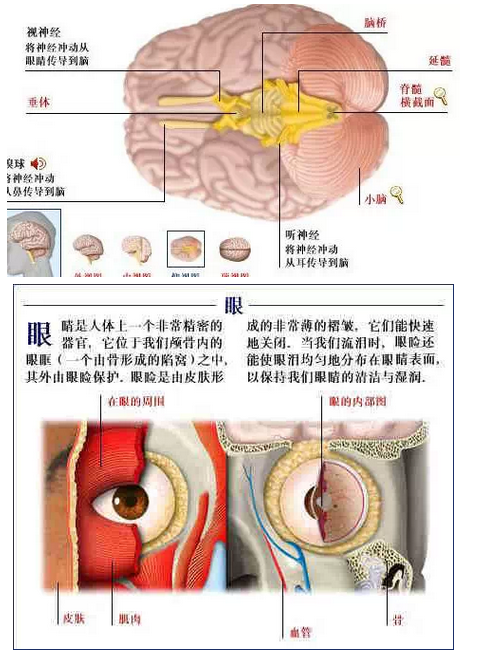 QQ图片20150815170630.png