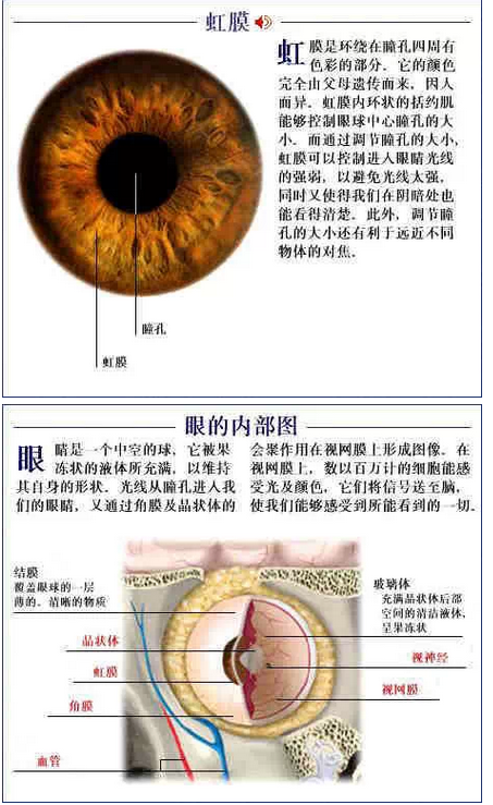 QQ图片20150815170641.png