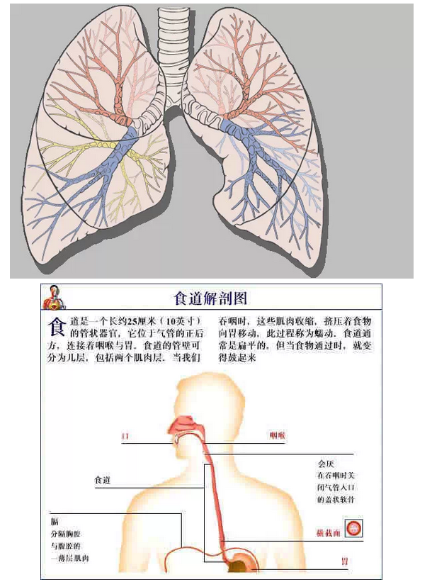 QQ图片20150815170833.png