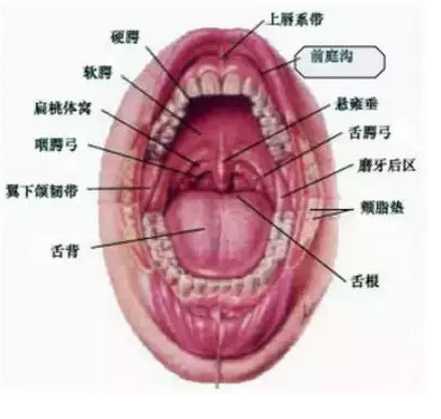 QQ图片20150817104202.png