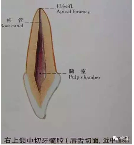 QQ图片20150820144921.png