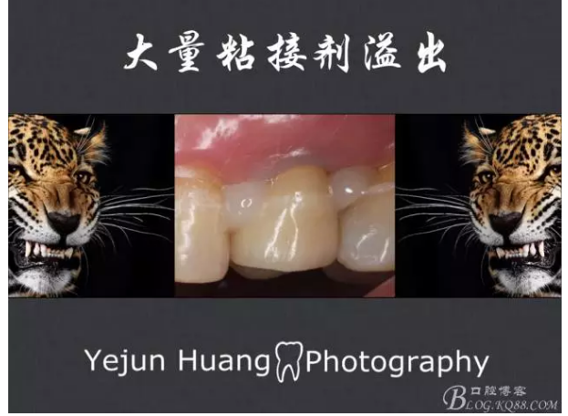 QQ图片20150824174718.png