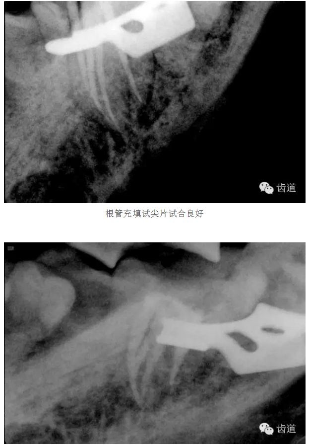 QQ图片20150825102408.png