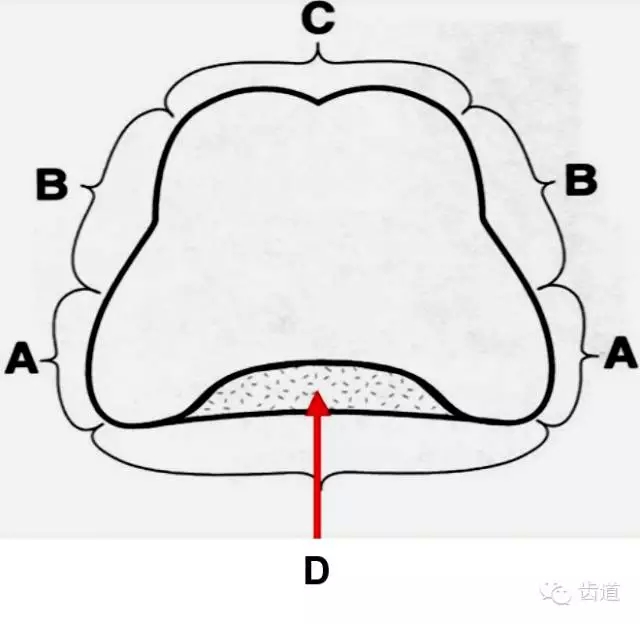 18.webp.jpg