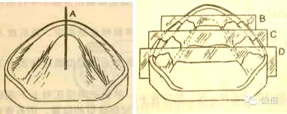 35.webp.jpg