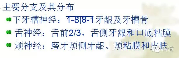 牙医基础知识：口腔颌面部应用解剖生理