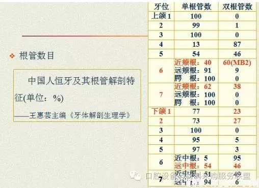 超实用的根管口的探查术