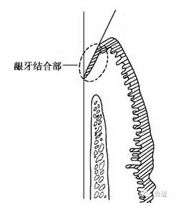 QQ图片20160825170248.png