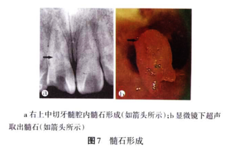 QQ截图20160803141033.jpg
