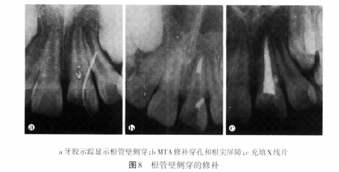 QQ截图20160803132638.jpg