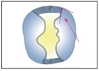 640.webp (13).jpg
