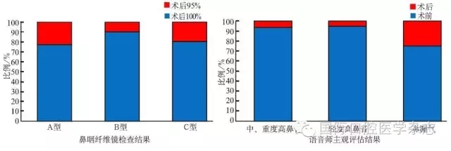 腭咽闭合不全的个体化治疗策略