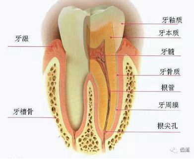 360截图20170123160408464.jpg