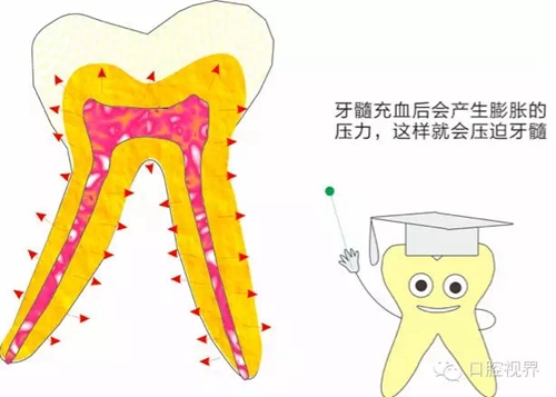 【爱牙科普知识300问】 “什么是牙龈萎缩？”