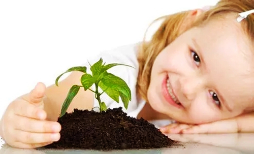 5.webp.jpg 5.webp.jpg