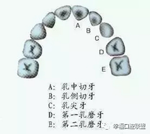 2.webp.jpg 2.webp.jpg