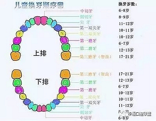 3.webp.jpg 3.webp.jpg