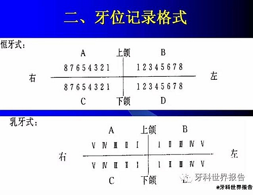 口腔的检查与记录  