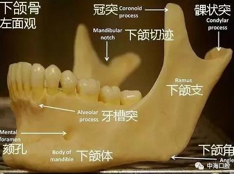 360截图20120308085923637.jpg