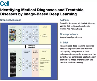 《细胞》重磅：中国科学家研发的AI影像诊断系统首登顶级期刊，可诊断眼病和肺炎两大类疾病，准确性匹敌顶尖医生 | 科学大发现