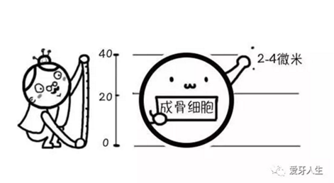 如何选择种植牙，给《患者》推荐这篇文章就足矣