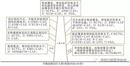 2016口腔医师资格考试-口组-牙周膜