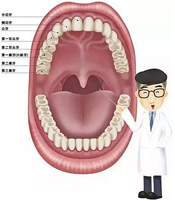 关于窝沟封闭