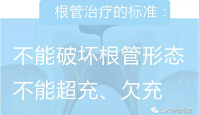 多频技术的根管长度测定仪