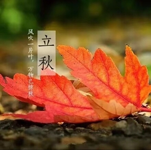 秋草黄