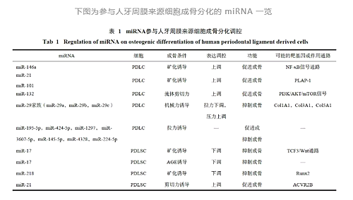 	贴面备牙知多少？