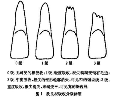 正畸文献阅读--正畸与口内治疗的关系