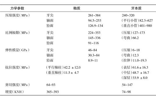 （第八十六期）牙体组织的基本力学性能